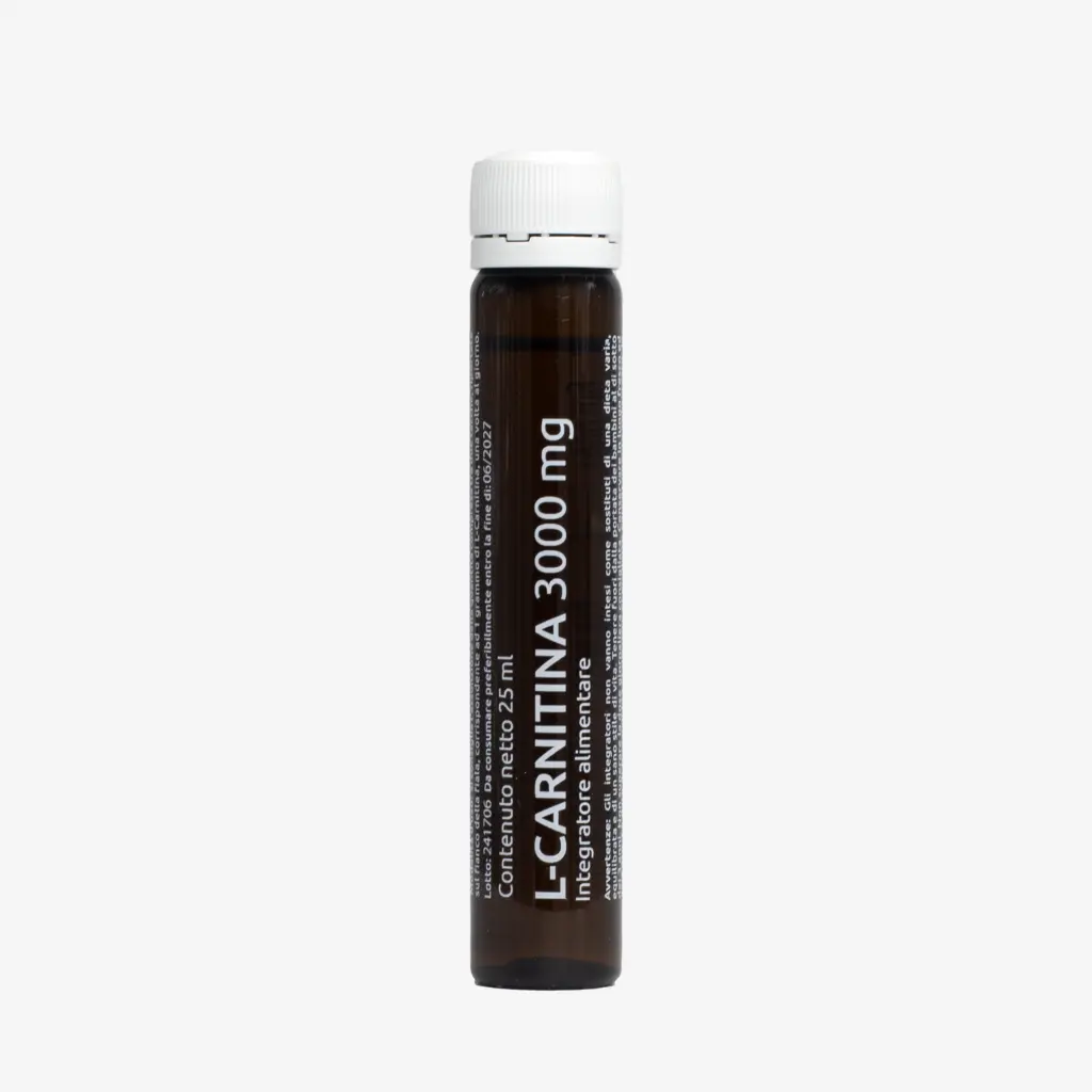 L CARNITINA VILE.webp